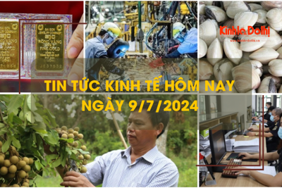 Tin tức kinh tế ngày 9/7/2024: giá nhãn Sơn La cao kỷ lục