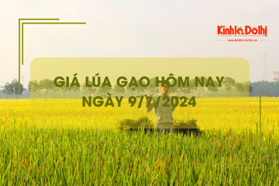 Giá lúa gạo hôm nay 9/7/2024: giá gạo tăng nhẹ 50 đồng/kg 