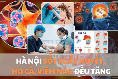 Hà Nội: Sốt xuất huyết, ho gà, viêm não tăng