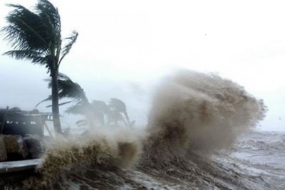 Việt Nam còn phải đón bao nhiêu cơn bão nữa trong năm 2024?