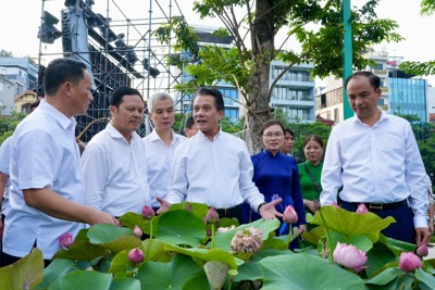 Độc đáo cuộc thi cắm sen nghệ thuật quận Tây Hồ năm 2024