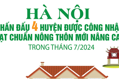 Hà Nội phấn đấu 4 huyện đạt chuẩn nông thôn mới nâng cao trong tháng 7/2024