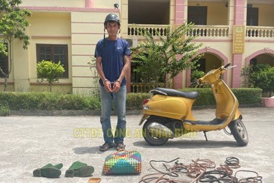 Thái Bình: khởi tố đối tượng gây ra hàng loạt vụ trộm cắp dây cáp điện