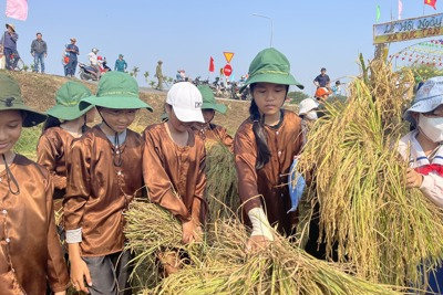 Mộ Đức phát triển du lịch nông nghiệp tạo hiệu quả kinh tế kép