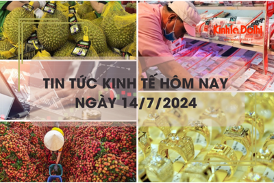 Tin tức kinh tế ngày 14/7/2024: thịt nhập khẩu giá rẻ ồ ạt vào Việt Nam