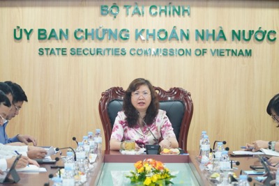 Tăng giám sát, thanh, kiểm tra đảm bảo TTCK phát triển minh bạch