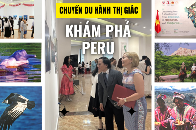 Chuyến du hành thị giác khám phá Peru