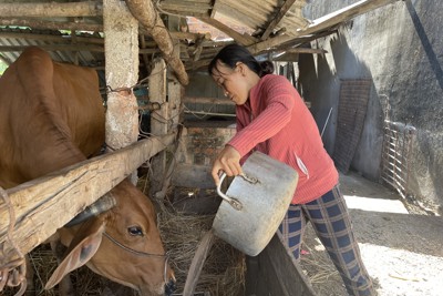 Đi lên từ bàn tay trắng