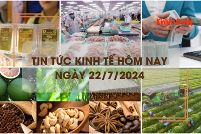 Tin tức kinh tế ngày 22/7/2024: giá xuất khẩu các mặt hàng nông sản đồng loạt tăng