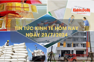 Tin tức kinh tế ngày 23/7/2024: cước vận chuyển container từ châu Á tăng gấp đôi