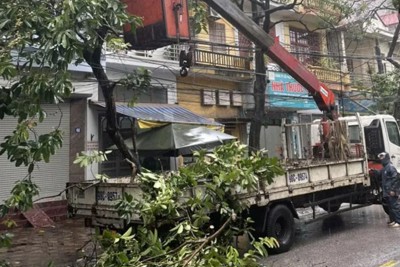 Bắc Giang: tập trung khắc phục sự cố cây đổ, ngập úng