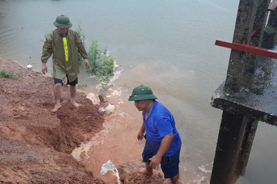 Huyện Quốc Oai xử lý khẩn cấp sự cố sụt lún đê bao do mưa lớn