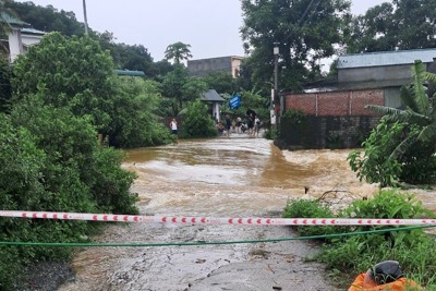 Mưa lũ còn phức tạp, Hà Nội đề nghị sở ngành, địa phương “không chủ quan”