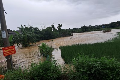 Quốc Oai: một người dân bị nước cuốn trôi do mưa lớn