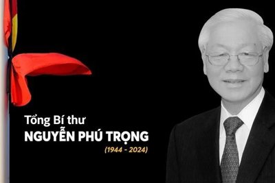 Thông báo Lễ viếng, Lễ truy điệu Tổng Bí thư Nguyễn Phú Trọng ở miền Nam