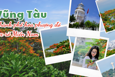 Vũng Tàu - thành phố hoa phượng đỏ của phía Nam