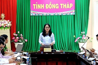 Đồng Tháp triển khai kế hoạch phát triển công dân số