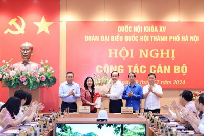 Đồng chí Bùi Thị Minh Hoài làm Trưởng đoàn đại biểu Quốc hội TP Hà Nội