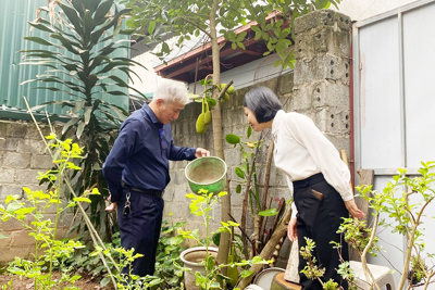 Hà Nội ghi nhận 125 ca mắc sốt xuất huyết với 10 ổ dịch