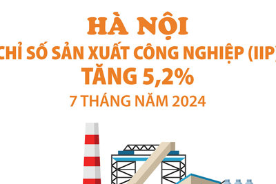 Hà Nội: Chỉ số sản xuất công nghiệp (IIP) 7 tháng năm 2024 tăng 5,2%