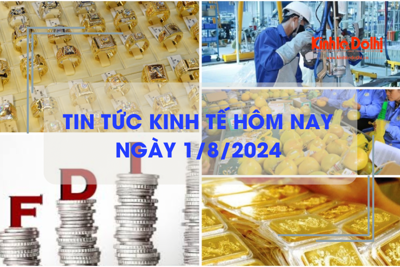 Tin tức kinh tế ngày 1/8/2024: vốn đầu tư ra nước ngoài giảm hơn một nửa