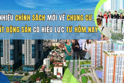 Người dân có thể làm thủ tục đăng ký, bấm biển số xe ở nhà 