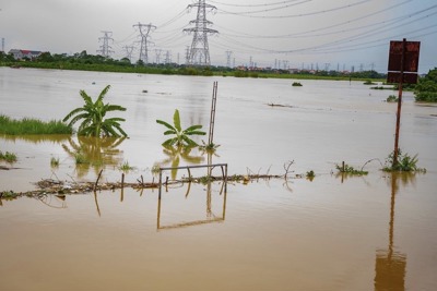 Báo động lũ trên sông Cầu, sông Cà Lồ tại các huyện Sóc Sơn, Đông Anh