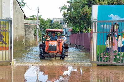 Dự báo đến 7h ngày 5/8, mực nước sông Bùi còn 5,95m, dưới báo động 1