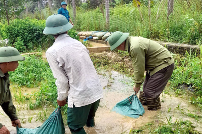 Huyện Thạch Thất không còn hộ dân bị ngập, đời sống nhân dân ổn định