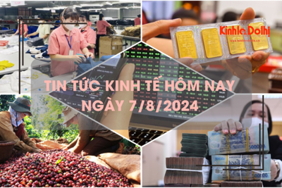 Tin tức kinh tế ngày 7/8/2024: số lượng tài khoản chứng khoán mở mới tăng đột biến