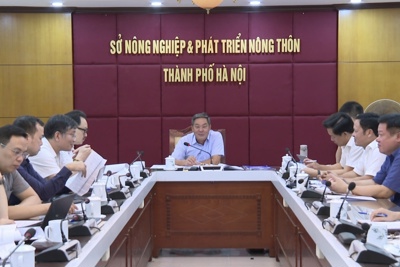 Triển khai thi hành Luật Thủ đô: tầm nhìn mới cho nông nghiệp, nông thôn