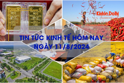 Tin tức kinh tế ngày 11/8/2024: xuất khẩu gạo năm 2024 dự báo vượt mức 5 tỷ USD