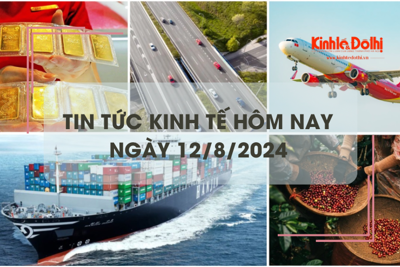 Tin tức kinh tế ngày 12/8/2024: giá cước vận tải biển tăng cao