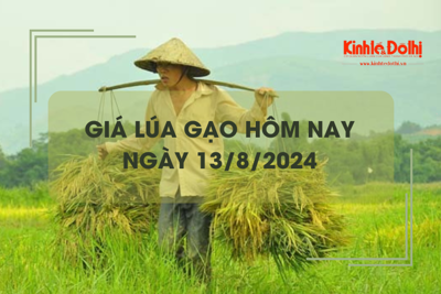 Giá lúa gạo hôm nay 13/8: giá gạo tăng nhẹ 