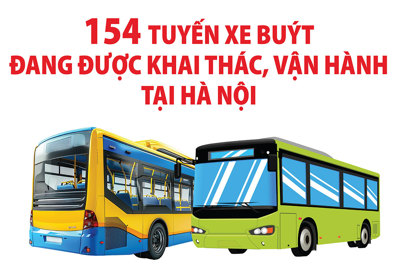 Hà Nội: 154 tuyến xe buýt đang được khai thác, vận hành