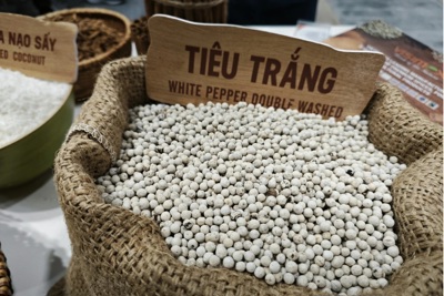 Giá tiêu hôm nay 13/8: giảm tới 5.000 đồng/kg ngay đầu tuần, vì sao?