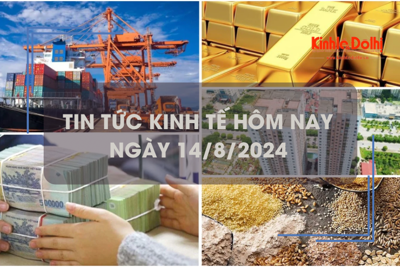 Tin tức kinh tế ngày 14/8: lợi nhuận ngân hàng tiếp tục tăng