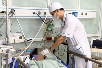 Lạng Sơn: sốc phản vệ nguy kịch sau khi bị ong bắp cày đốt