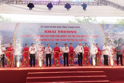 Tổ chức trưng bày sản phẩm công, nông nghiệp tại Thanh Hoá