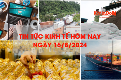 Tin tức kinh tế ngày 16/8: xuất khẩu gạo sang Ukraine tăng gần 40 lần