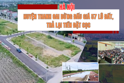 Huyện Thanh Oai dừng đấu giá 57 lô đất, trả lại tiền đặt cọc