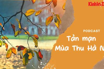 Podcast: Tản mạn mùa Thu Hà Nội