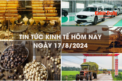 Tin tức kinh tế ngày 17/8: giá vàng thế giới tăng cao nhất mọi thời đại