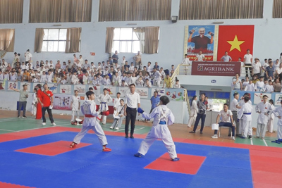 Hơn 300 VĐV tranh tài Giải vô địch cúp các CLB karate Ba Vì năm 2024