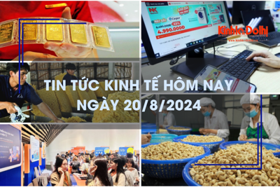 Tin tức kinh tế ngày 20/8: giá cao su đạt mức cao nhất trong 2 năm qua