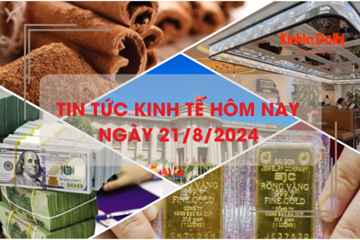 Tin tức kinh tế ngày 21/8: đồng USD chạm mức thấp nhất kể từ đầu năm