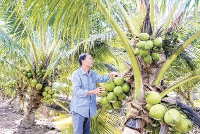 Xuất khẩu nông sản sang Trung Quốc: nhiều lợi thế và cơ hội 