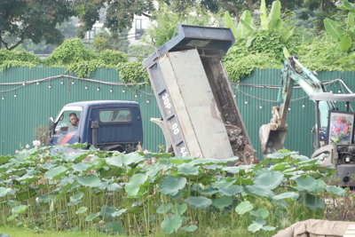 Ngang nhiên san lấp, lấn chiếm hồ Đầu Đồng