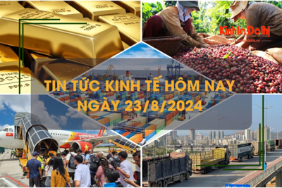 Tin tức kinh tế ngày 23/8: giá xuất khẩu cà phê đạt đỉnh