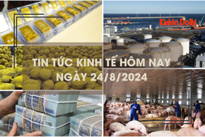 Tin tức kinh tế ngày 24/8: đảm bảo nguồn cung thịt lợn đến cuối năm